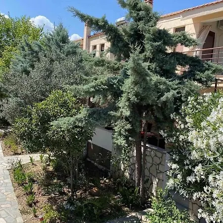 Papadopoulos * Nikiti (Sithonia)